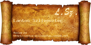 Lantos Szilveszter névjegykártya